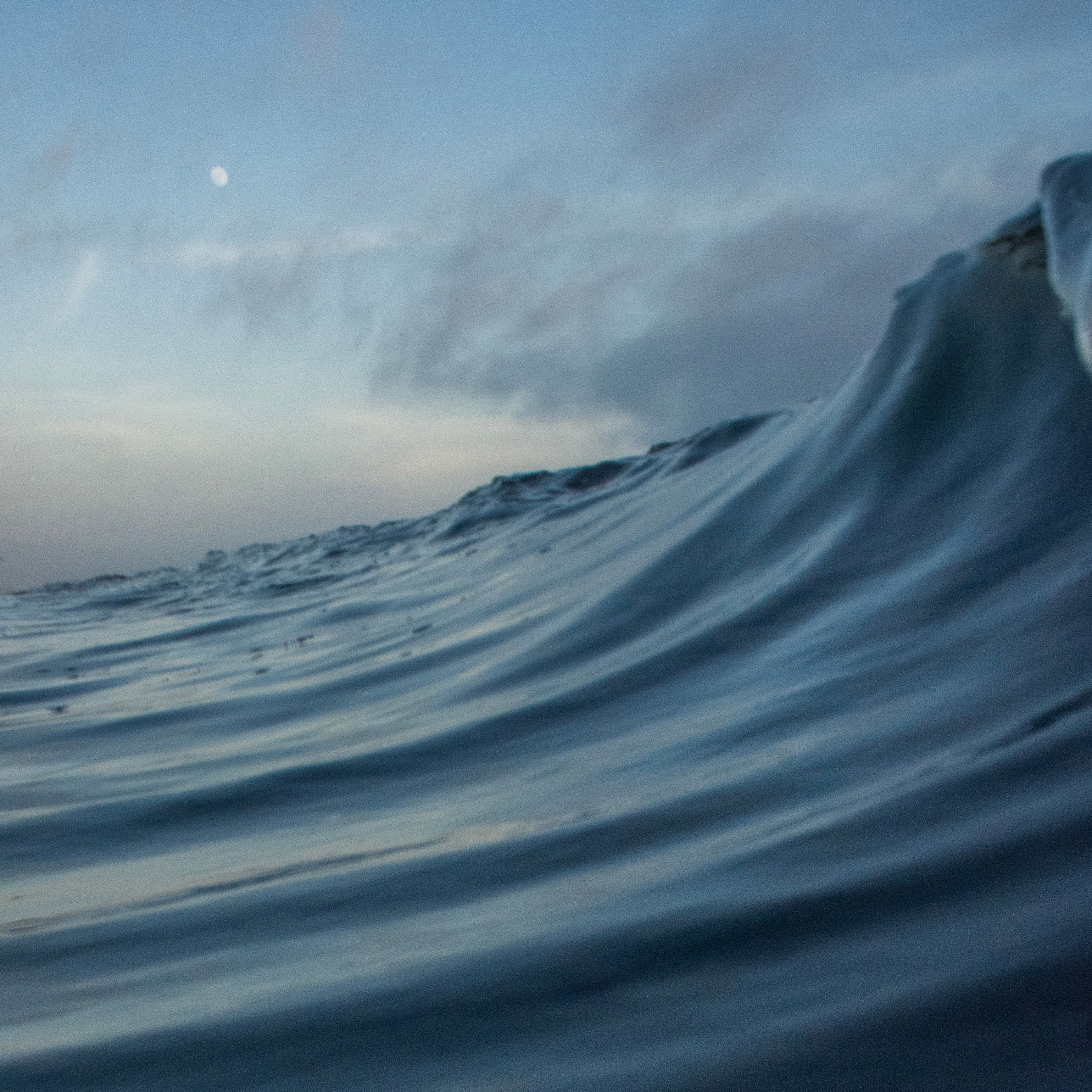 Tidepool Treasure Box